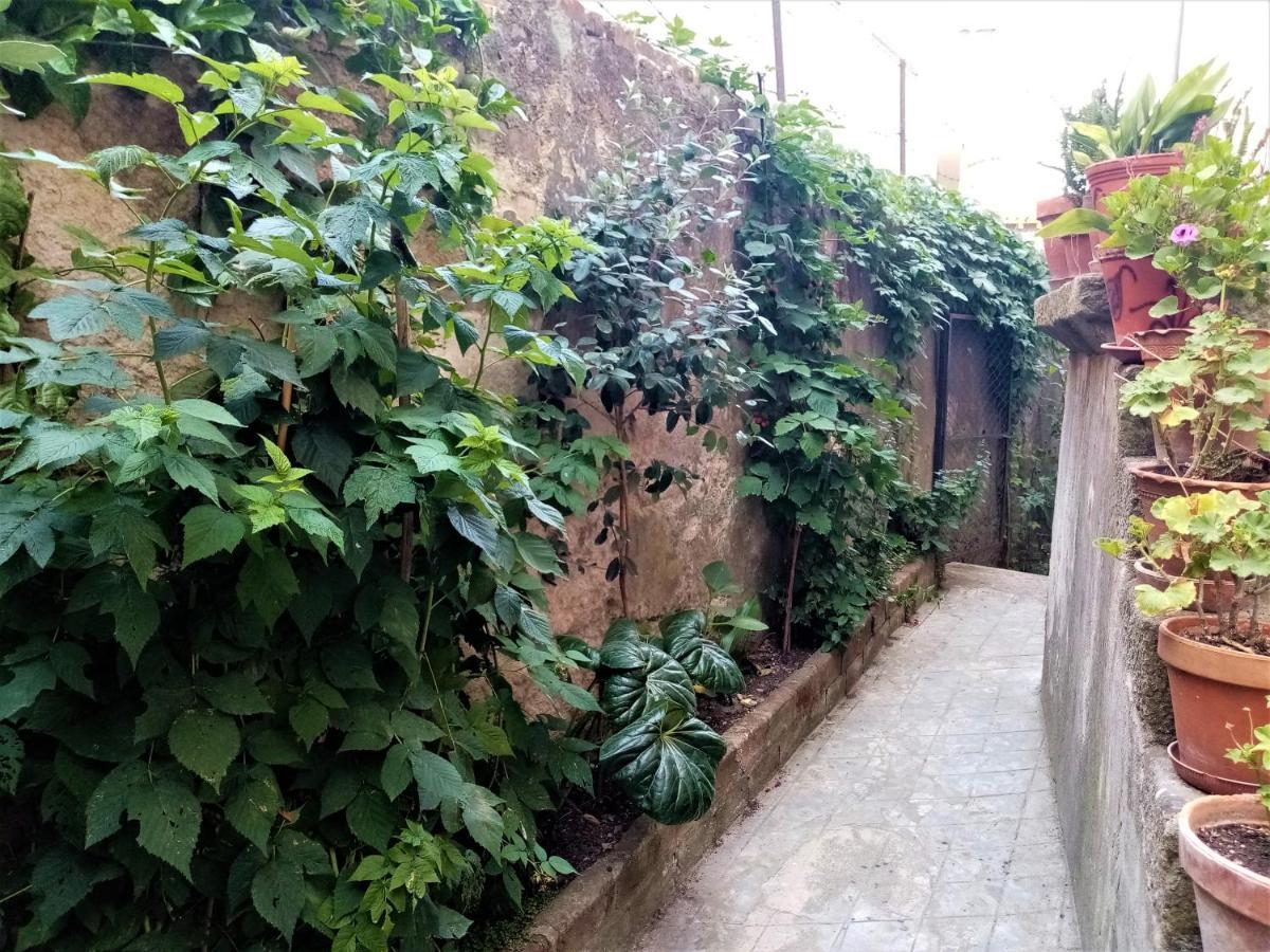Casa Da Judiaria Velha Hotel Viseu Eksteriør billede