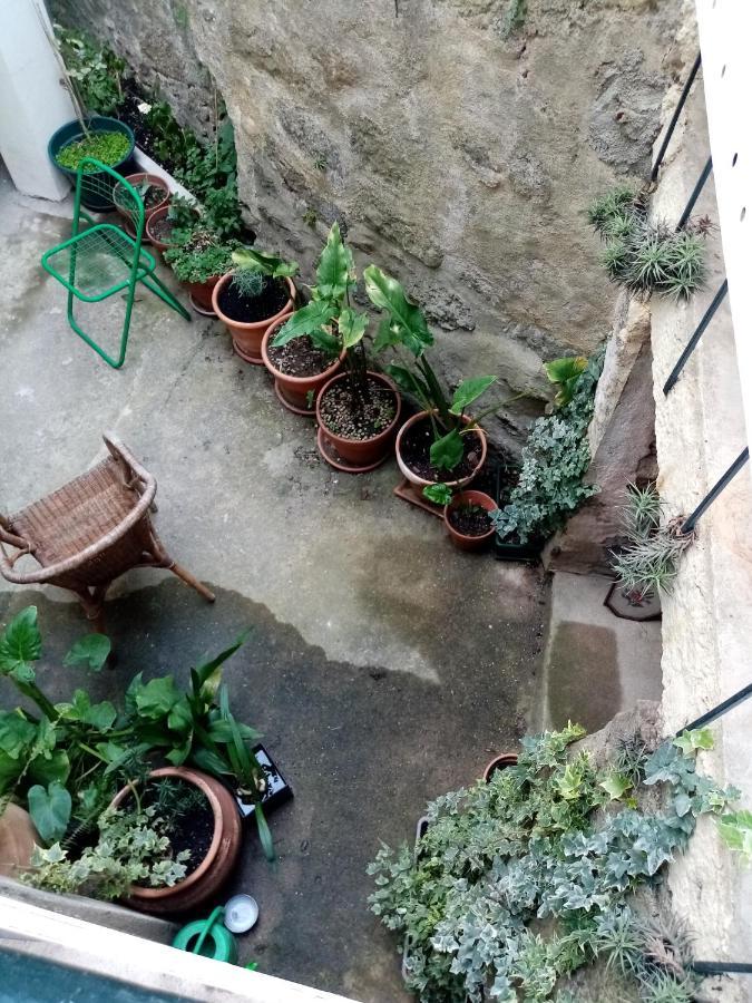 Casa Da Judiaria Velha Hotel Viseu Eksteriør billede
