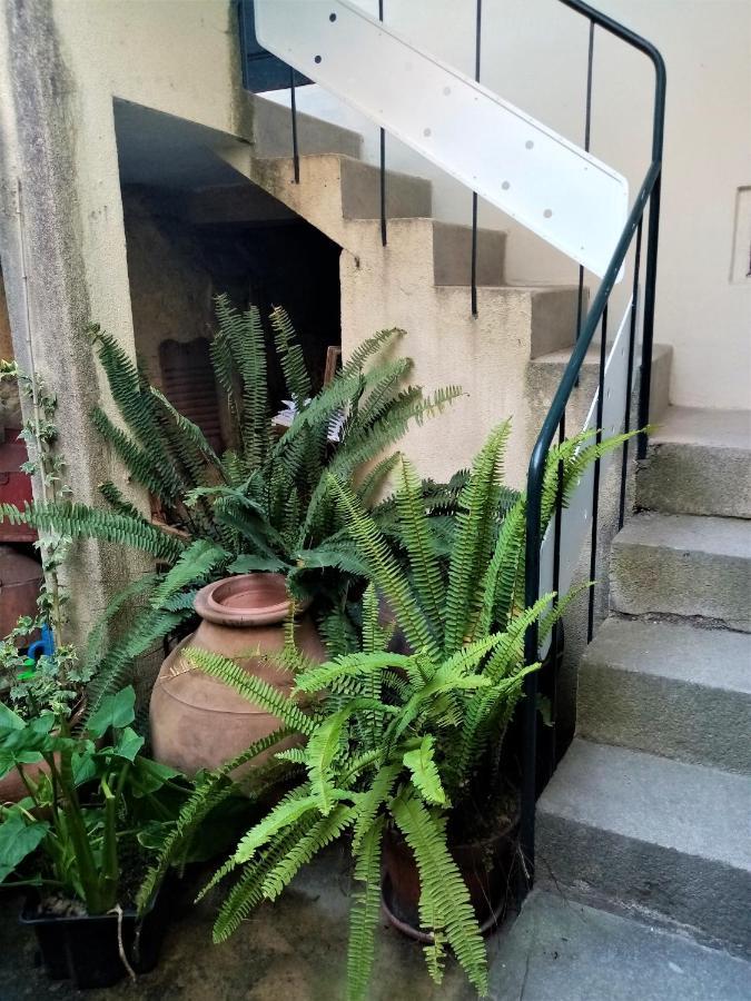 Casa Da Judiaria Velha Hotel Viseu Eksteriør billede